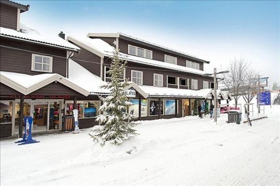 Skitorget Apartments Trysil Extérieur photo